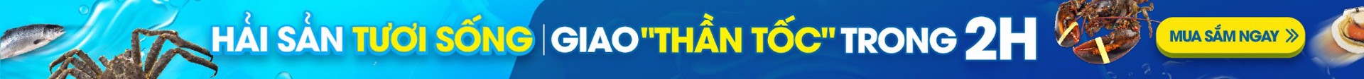 Banner top header