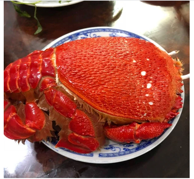 (HỘ KINH DOANH) NGUYỄN MAI TRINH