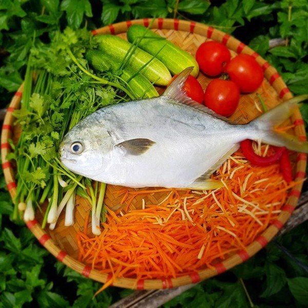 (HỘ KINH DOANH) NGUYỄN MAI TRINH