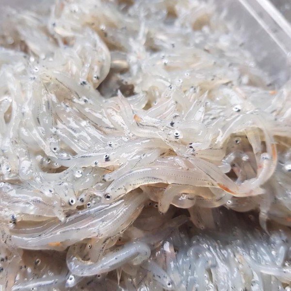 (HỘ KINH DOANH) NGUYỄN MAI TRINH