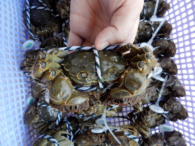 (HỘ KINH DOANH) NGUYỄN MAI TRINH