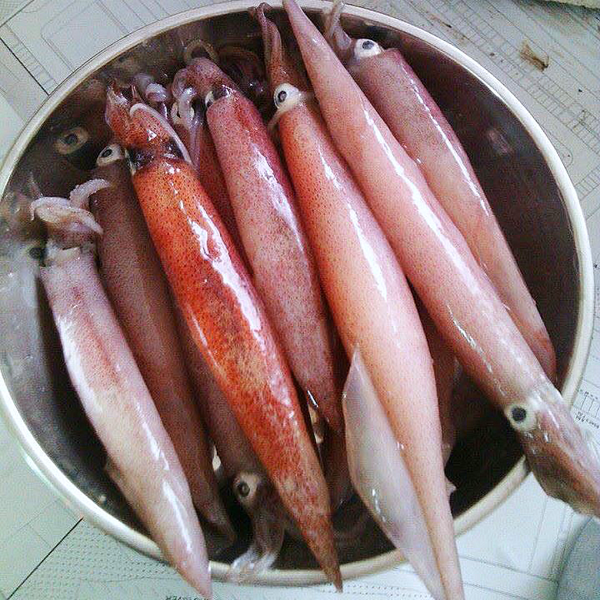 (HỘ KINH DOANH) NGUYỄN MAI TRINH