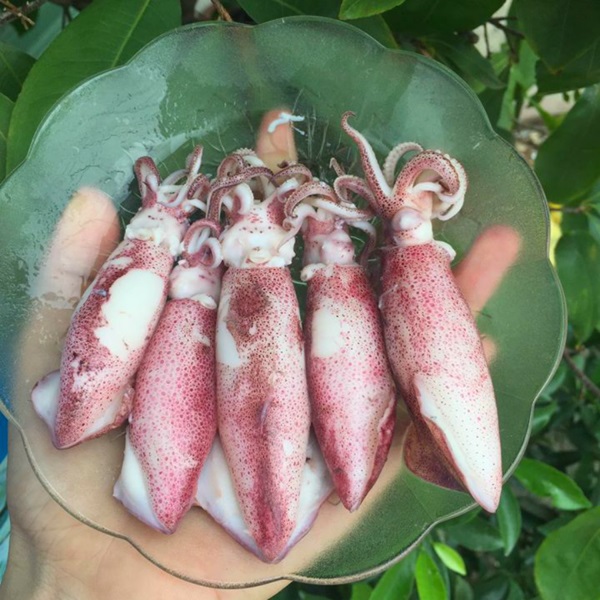 (HỘ KINH DOANH) NGUYỄN MAI TRINH
