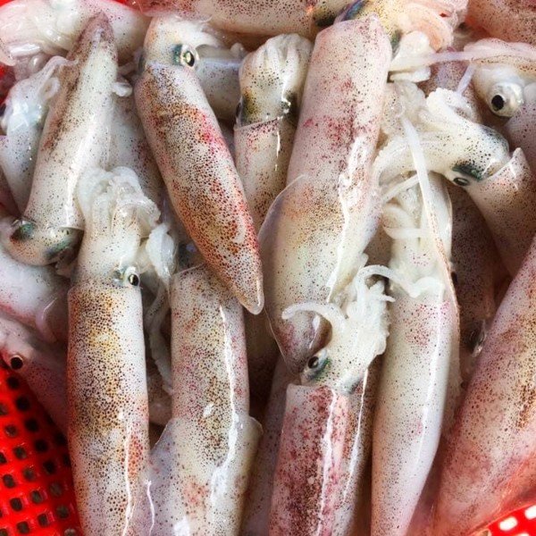 (HỘ KINH DOANH) NGUYỄN MAI TRINH