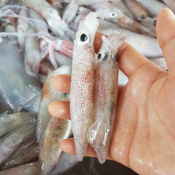 (HỘ KINH DOANH) NGUYỄN MAI TRINH