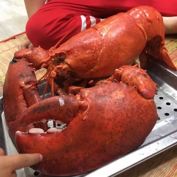 (HỘ KINH DOANH) NGUYỄN MAI TRINH