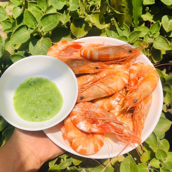 (HỘ KINH DOANH) NGUYỄN MAI TRINH