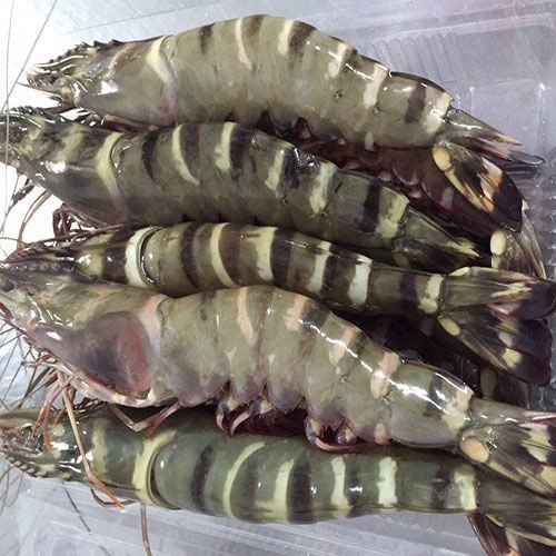 (HỘ KINH DOANH) NGUYỄN MAI TRINH