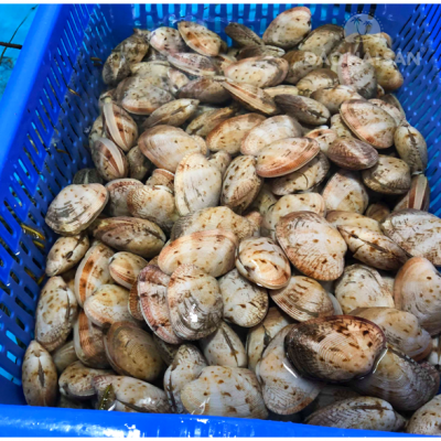 Hải Sản Nổi Tiếng Trong Nước