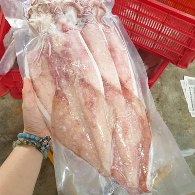 Mực 1 nắng